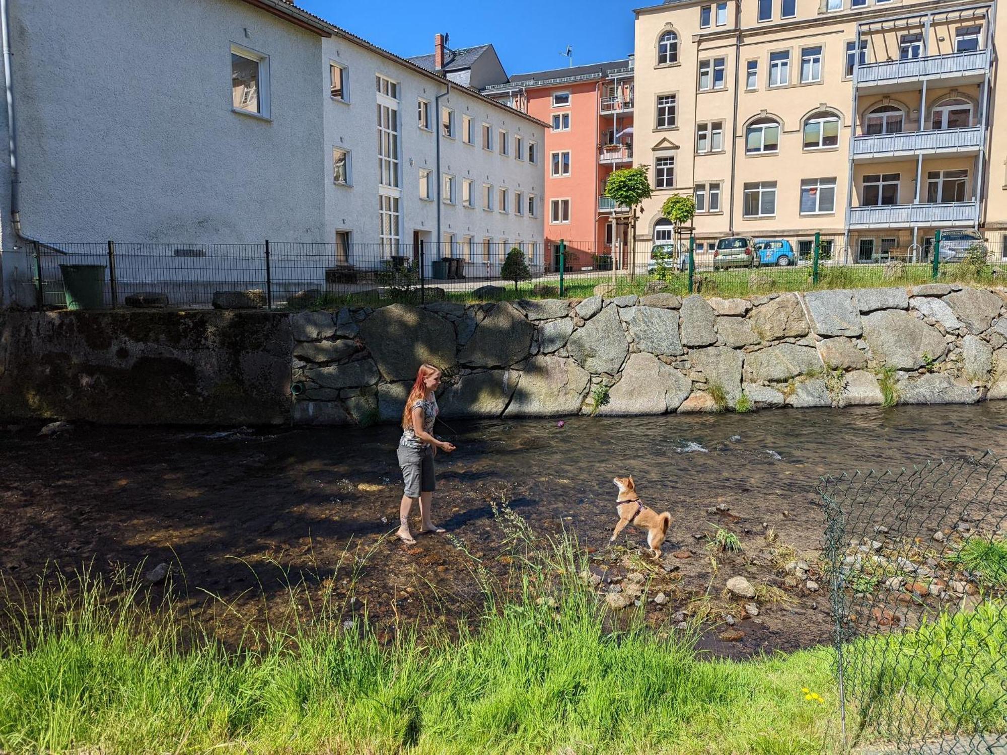 Hw1 - Urlaubsmagie - Sauna&Whirlpool Zum Entspannen Sebnitz Exterior foto